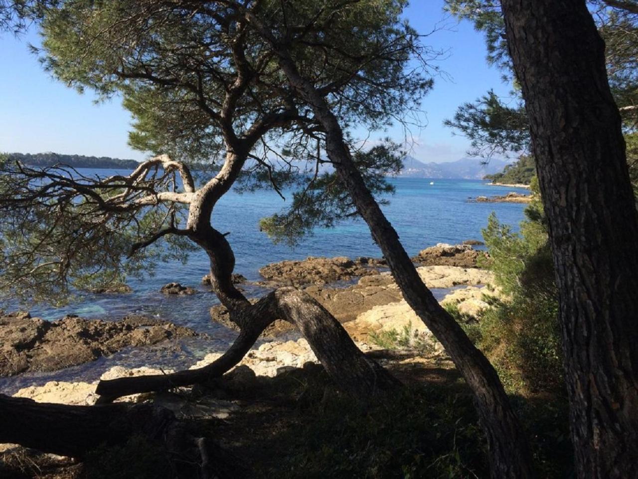 Cannes Design Vue Mer Bagian luar foto