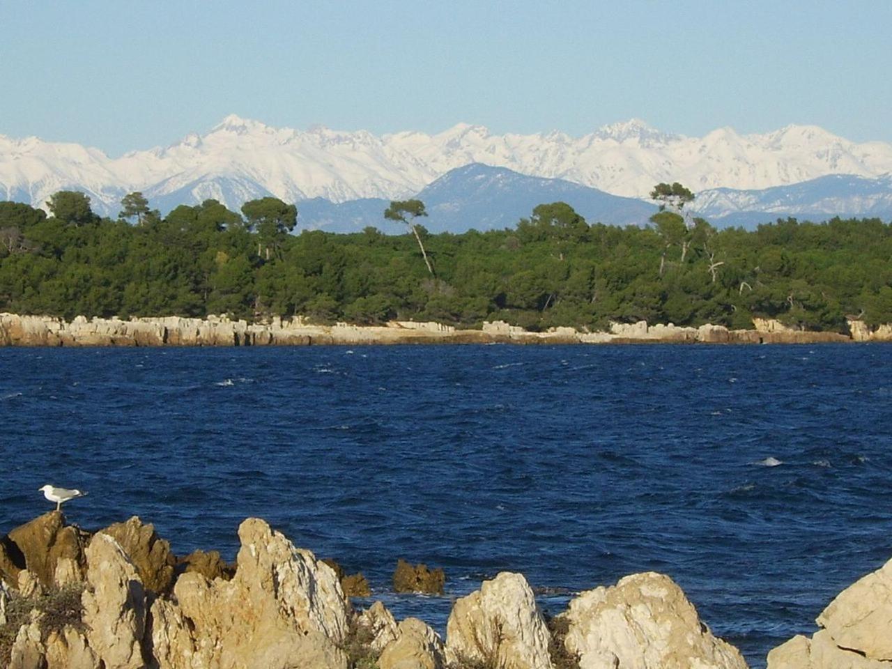 Cannes Design Vue Mer Bagian luar foto